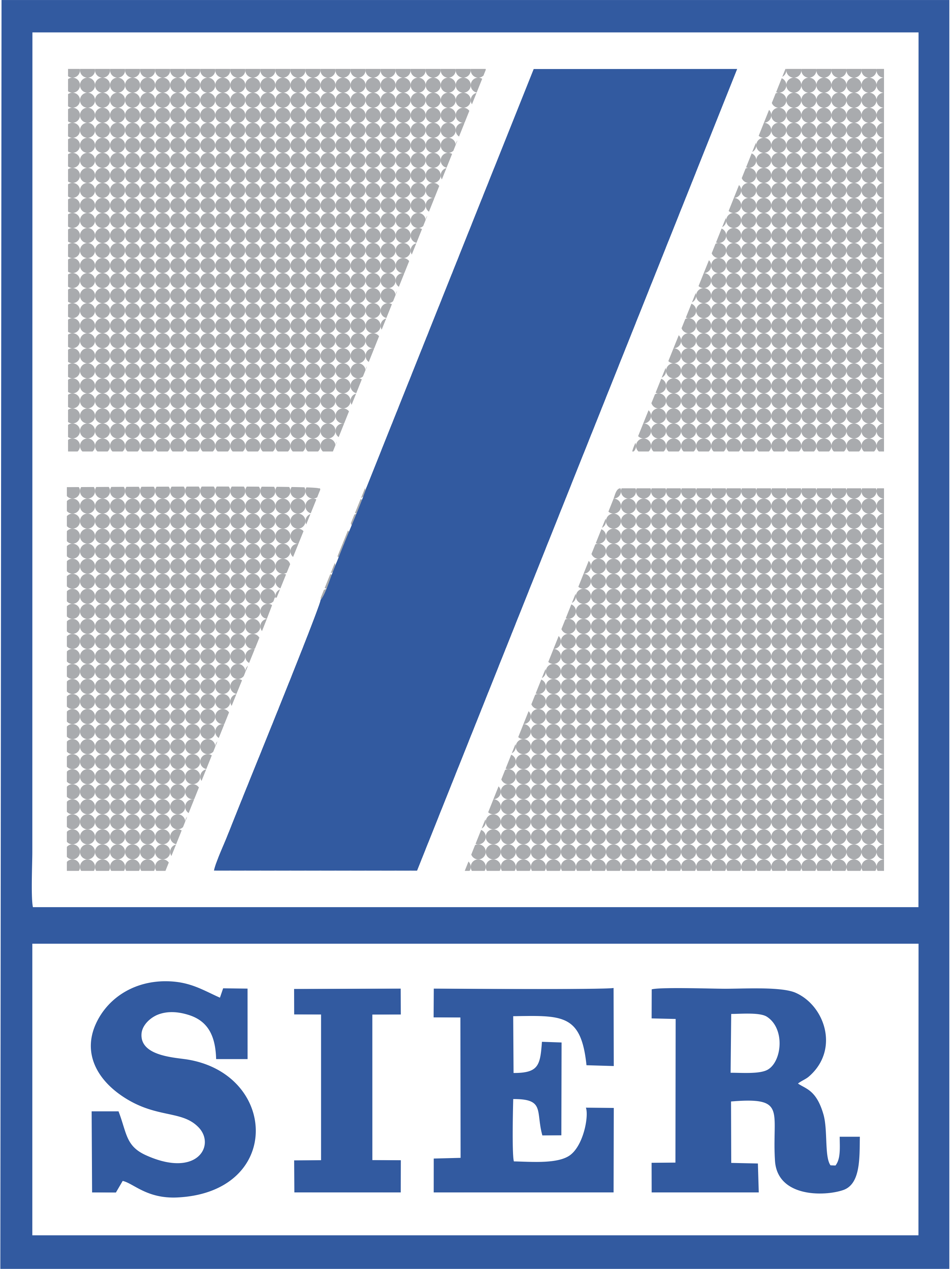 Partner 45